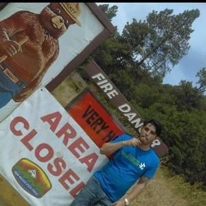 Meet your Posher, Sampson